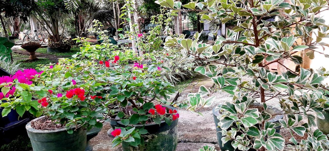 Hiriketiya Cinnamon Garden 迪克韦勒 外观 照片