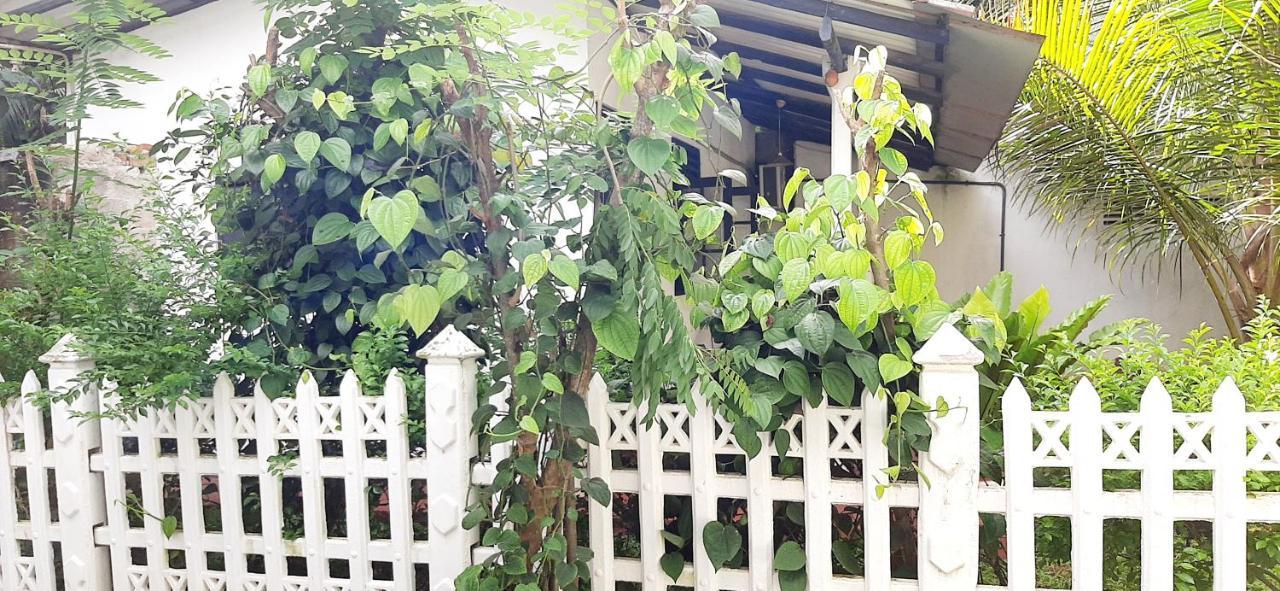Hiriketiya Cinnamon Garden 迪克韦勒 外观 照片