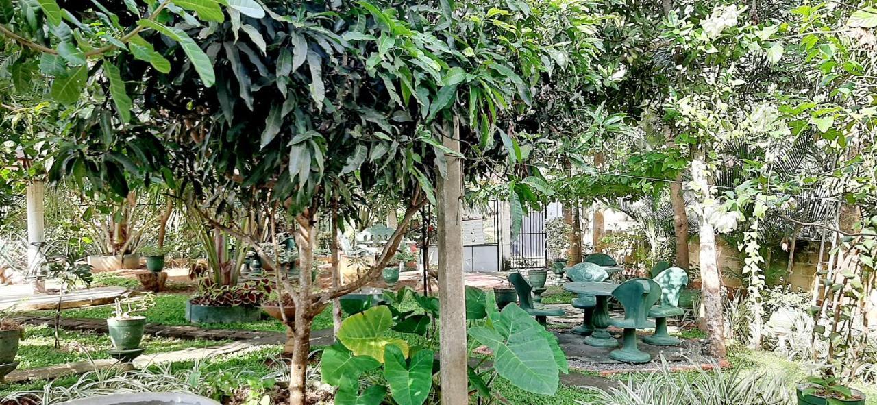 Hiriketiya Cinnamon Garden 迪克韦勒 外观 照片