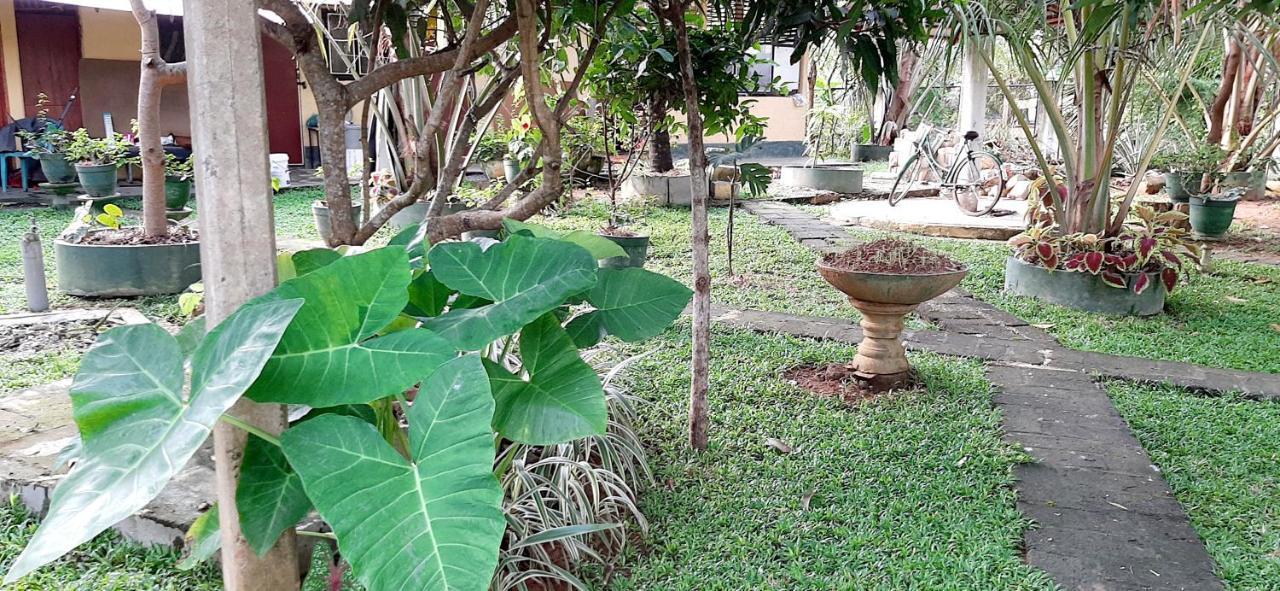 Hiriketiya Cinnamon Garden 迪克韦勒 外观 照片